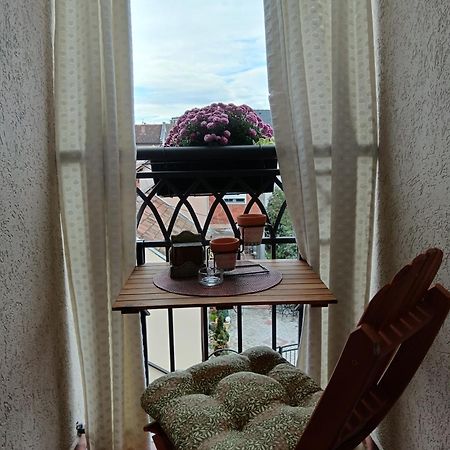 Apartman Element Kruševac Buitenkant foto