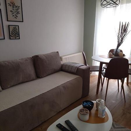 Apartman Element Kruševac Buitenkant foto