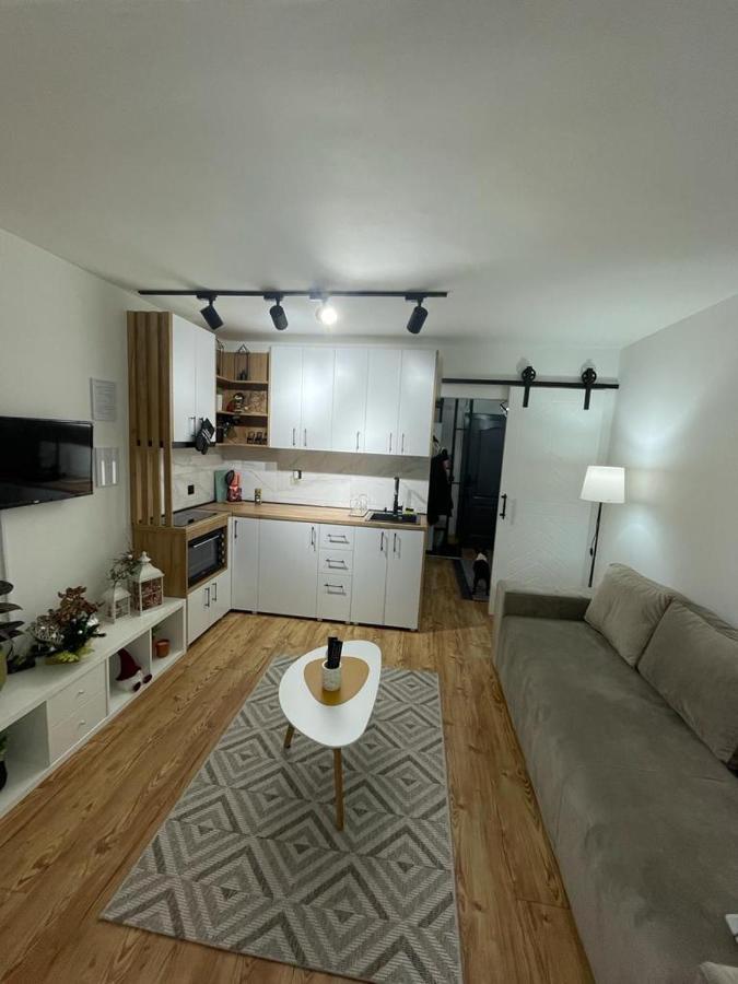 Apartman Element Kruševac Buitenkant foto
