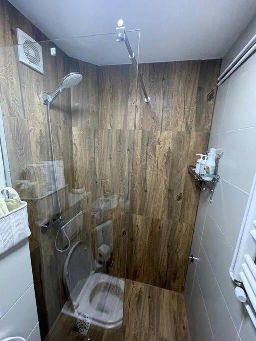 Apartman Element Kruševac Buitenkant foto
