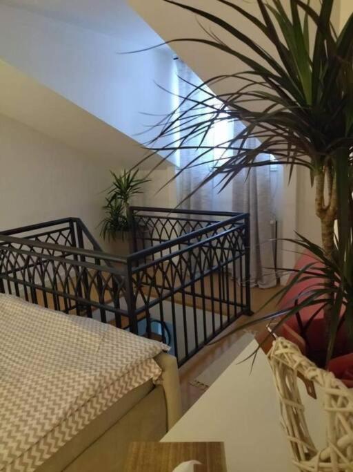 Apartman Element Kruševac Buitenkant foto