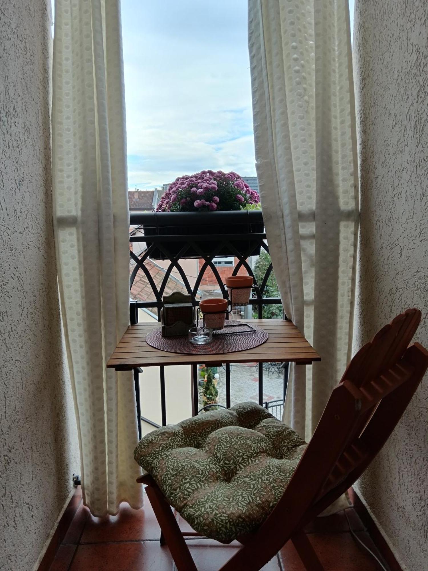 Apartman Element Kruševac Buitenkant foto